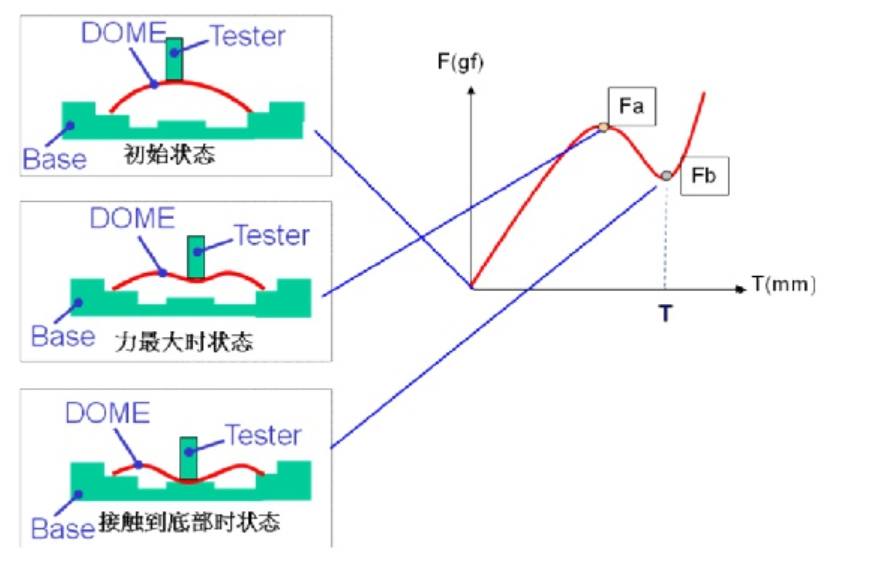 轻触开关被施加压力时其反作用力的变化过程